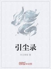 引尘录封面