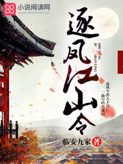 逐凤江山令封面