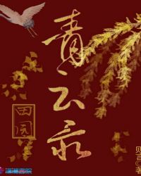 田园青云录封面