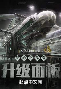 我的物品有升级面板封面