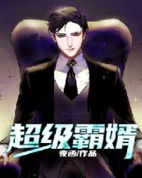 超级霸婿封面