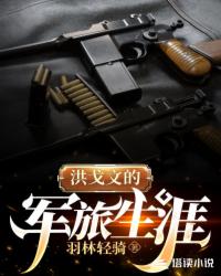 洪戈文的军旅生涯封面
