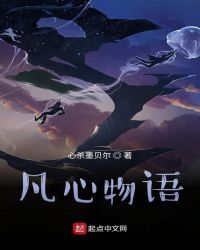 凡心物语封面