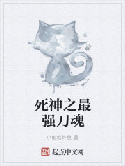 死神之最强刀魂封面