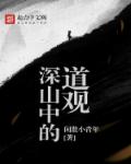 深山中的道观封面