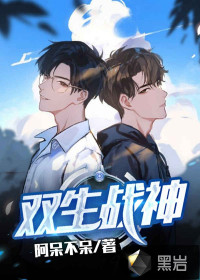 双生战神封面
