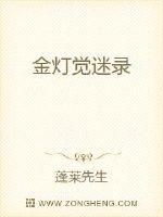 金灯觉迷录封面