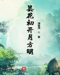 昙花初开月方明封面