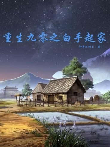 重生九零之白手起家封面