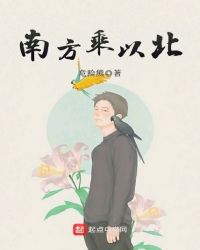 南方乘以北封面