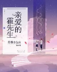 亲爱的霍先生封面