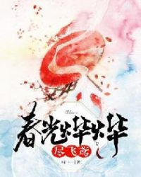 春光烨烨尽飞鸢封面