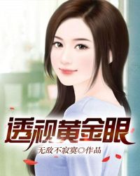 透视黄金眼封面