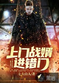 上门战婿进错门封面