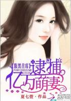 腹黑首席：逮捕亿万萌妻封面