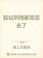 我钻到钱眼里面去了封面