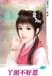 丫头不好惹封面