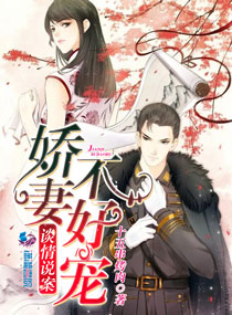 谈情说案：娇妻不好宠封面