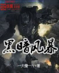 黑暗风暴封面