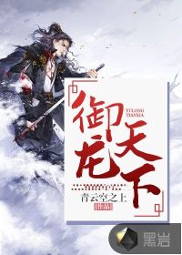 御龙天下封面