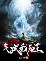 气武我为王封面