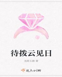 待拨云见日封面