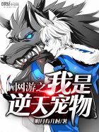 网游之我是逆天宠物封面