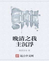 晚清之我主沉浮封面