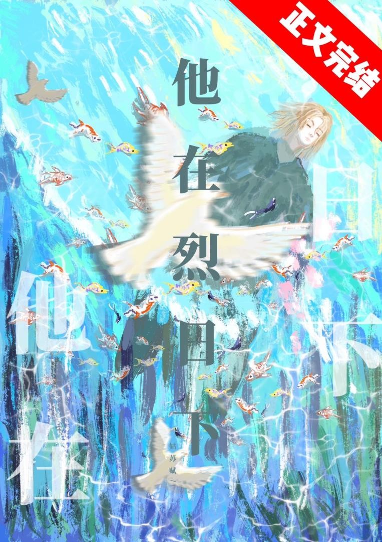 他在烈日下封面