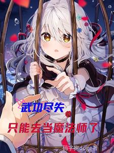 武功尽失，只能去当魔法师了封面