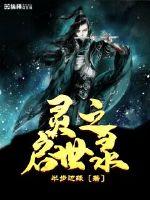 灵之启世录封面