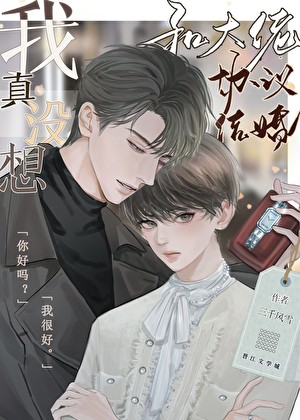 我真没想和大佬协议结婚封面