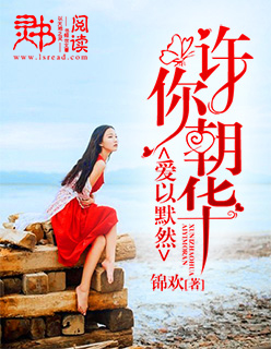 许你朝华，爱以默然封面