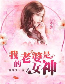 我的老婆是女神封面