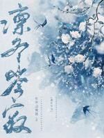 凛冬岑寂封面