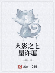 火影之七星许愿封面