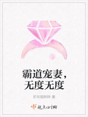 霸道宠妻，无度无度封面