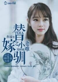 替嫁之小妻难驯封面