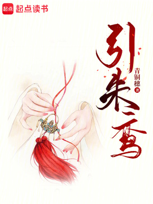 引朱鸾封面