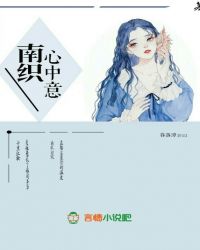 南织心中意封面
