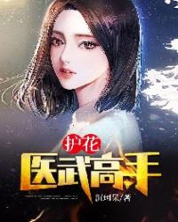 护花医武高手封面