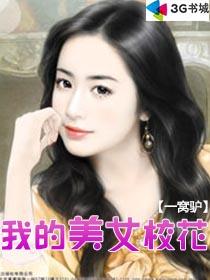 我的美女校花封面
