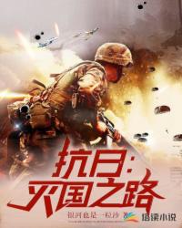 抗日：灭国之路封面