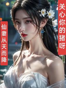 仙妻从天而降封面