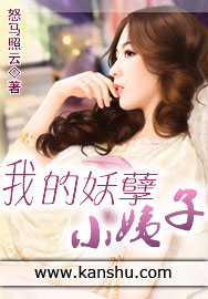 我的妖孽小姨子封面