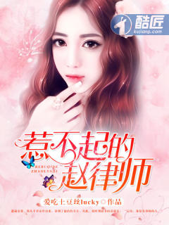 惹不起的赵律师封面