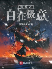 海贼之自在极意封面