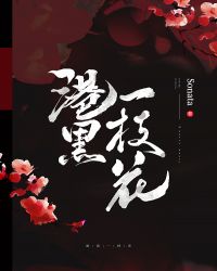 港黑一枝花封面