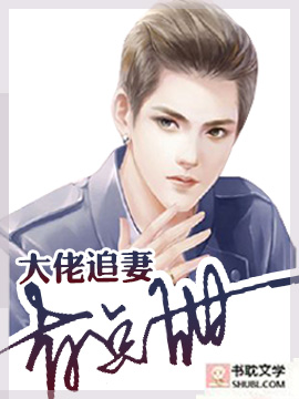 大佬追妻有点甜封面