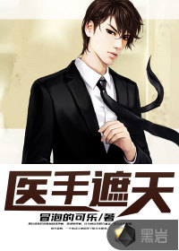 医手遮天封面
